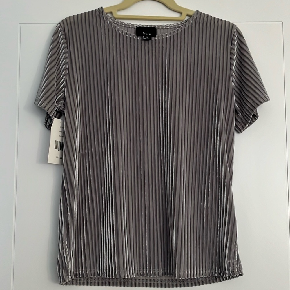 Grey/Silver Light Velvet Top